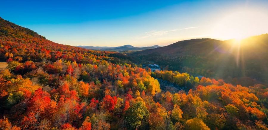 Nature at Your Doorstep